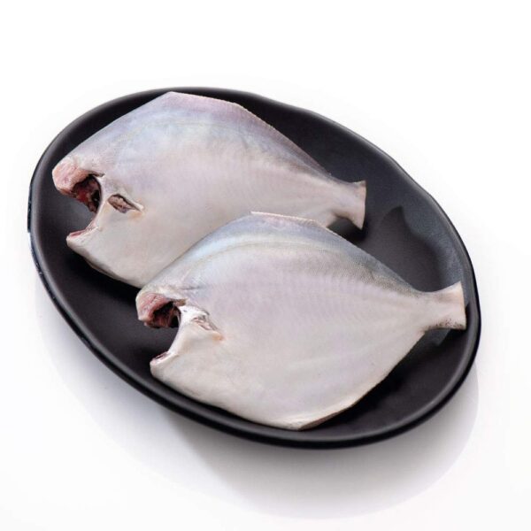 pomphret fish